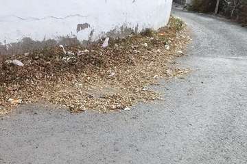 La suciedad y falta de cuidados imperan en El Calero Bajo (Foto TA)