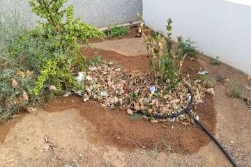 La suciedad y falta de cuidados imperan en El Calero Bajo (Foto TA)