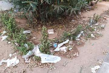 La suciedad y falta de cuidados imperan en El Calero Bajo (Foto TA)