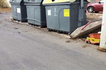 La suciedad y falta de cuidados imperan en El Calero Bajo (Foto TA)