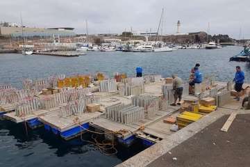 Torrente de luz y sonido en los fuegos de Melenara (Foto Toribio Inda)