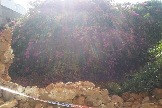 Un antiguo muro, un riesgo para personas en la calle Congreso (Foto TA)