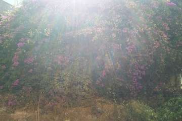Un antiguo muro, un riesgo para personas en la calle Congreso (Foto TA)