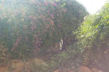 Un antiguo muro, un riesgo para personas en la calle Congreso (Foto TA)