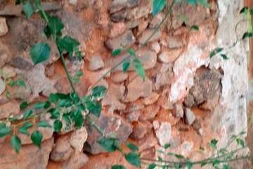 Un antiguo muro, un riesgo para personas en la calle Congreso (Foto TA)