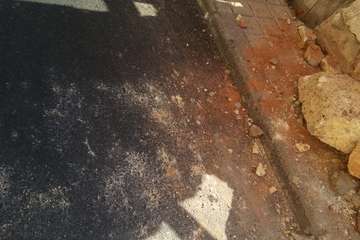 Un antiguo muro, un riesgo para personas en la calle Congreso (Foto TA)