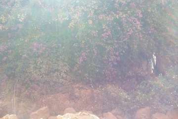 Un antiguo muro, un riesgo para personas en la calle Congreso (Foto TA)