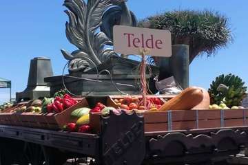 La carreta de Telde, lista para la romería del Pino de esta tarde (Foto TA)