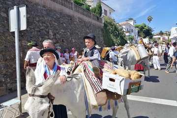 Romería ofrenda a la Virgen del Pino (Foto TA y Antonio Alí)