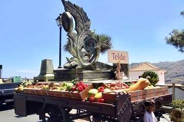 Romería ofrenda a la Virgen del Pino (Foto TA y Antonio Alí)