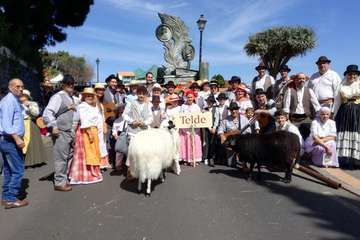 Romería ofrenda a la Virgen del Pino (Foto TA y Antonio Alí)