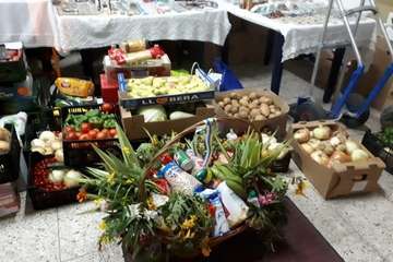Romería de la playa de Ojos de Garza en honor del Santo Cristo (Foto TF y TA)