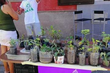 Actividades para los más pequeños y rastrillo solidario en La Garita (Foto TA)
