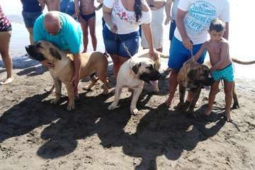 Ojos de Garza se reencuentra con la lucha canaria (Foto TA)