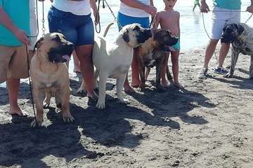 Ojos de Garza se reencuentra con la lucha canaria (Foto TA)