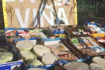 Romería en honor de San Venancio en Casas Nuevas  (Foto TA)