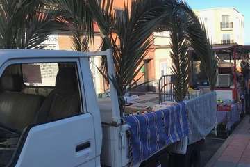 Romería en honor de San Venancio en Casas Nuevas  (Foto TA)