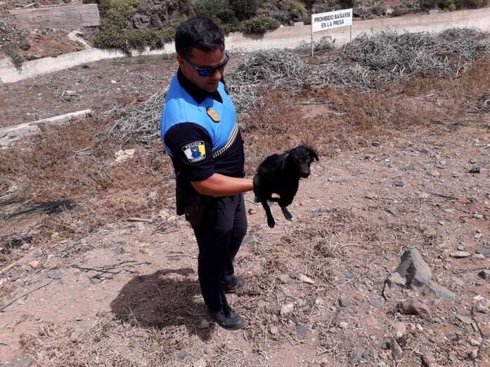 Imagen del rescate de un perro por parte de un Policía Local de Telde (Foto TA)
