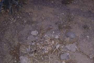 El Calero Bajo, paraíso de la basura y el descuido institucional (Foto TA)