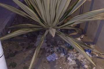 El Calero Bajo, paraíso de la basura y el descuido institucional (Foto TA)