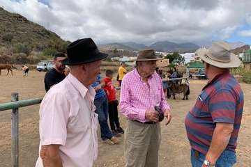 Feria de Ganado de las fiestas del Pilar del Valle de los Nueve (Foto TA)