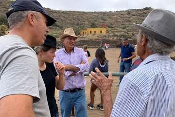 Feria de Ganado de las fiestas del Pilar del Valle de los Nueve (Foto TA)