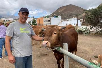 Feria de Ganado de las fiestas del Pilar del Valle de los Nueve (Foto TA)