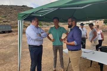 Feria de Ganado de las fiestas del Pilar del Valle de los Nueve (Foto TA)