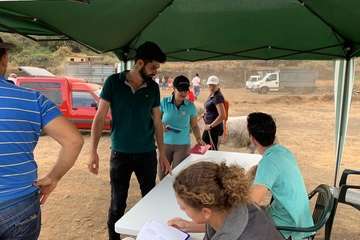 Feria de Ganado de las fiestas del Pilar del Valle de los Nueve (Foto TA)
