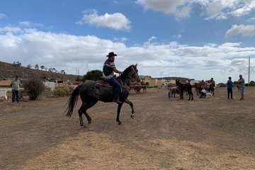 Feria de Ganado de las fiestas del Pilar del Valle de los Nueve (Foto TA)