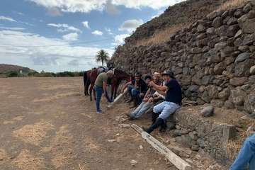 Feria de Ganado de las fiestas del Pilar del Valle de los Nueve (Foto TA)