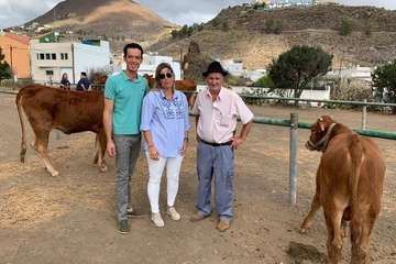 Feria de Ganado de las fiestas del Pilar del Valle de los Nueve (Foto TA)