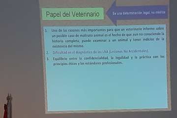 Telde celebra su primera jornada técnica sobre maltrato animal (Foto TA)