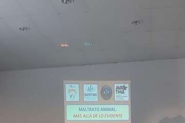 Telde celebra su primera jornada técnica sobre maltrato animal (Foto TA)