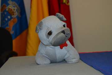 Telde celebra su primera jornada técnica sobre maltrato animal (Foto TA)