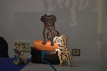 Telde celebra su primera jornada técnica sobre maltrato animal (Foto TA)