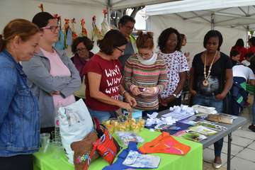 La Pardilla y Las Remudas disfrutan con su Fiesta de la Salud (Foto TA)