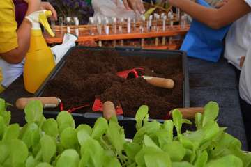 La Pardilla y Las Remudas disfrutan con su Fiesta de la Salud (Foto TA)
