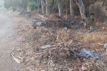 La acumulación de residuos en el Barranco del Tundidor desespera a sus vecinos (Foto TA)