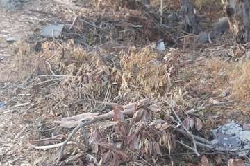 La acumulación de residuos en el Barranco del Tundidor desespera a sus vecinos (Foto TA)