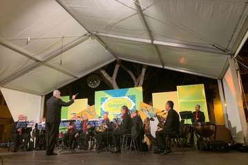 Pregón de las fiestas de Los Llanos 2019 (Foto TA)