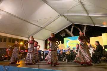 Pregón de las fiestas de Los Llanos 2019 (Foto TA)