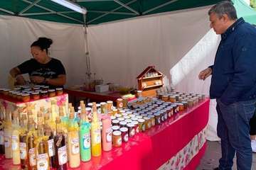 Folclore, artesanía, zumba y fotografía se dan la mano en Los Llanos (Foto Francisco Javier Santana y TA)