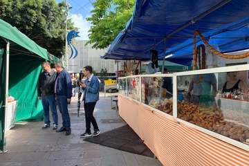 Folclore, artesanía, zumba y fotografía se dan la mano en Los Llanos (Foto Francisco Javier Santana y TA)