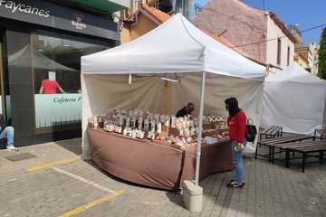 Folclore, artesanía, zumba y fotografía se dan la mano en Los Llanos (Foto Francisco Javier Santana y TA)