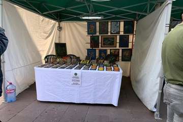 Folclore, artesanía, zumba y fotografía se dan la mano en Los Llanos (Foto Francisco Javier Santana y TA)