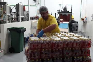 Visita a la fábrica de refrescos Nik y al museo etnográfico de Antonio El virula (Foto TA)