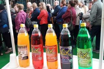 Visita a la fábrica de refrescos Nik y al museo etnográfico de Antonio El virula (Foto TA)