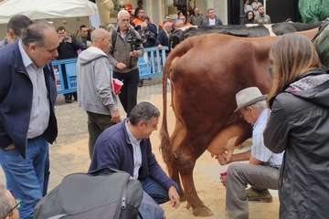Los Llanos celebra el día grande de sus fiestas (Foto TA)