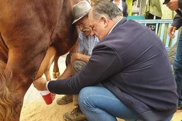 Los Llanos celebra el día grande de sus fiestas (Foto TA)